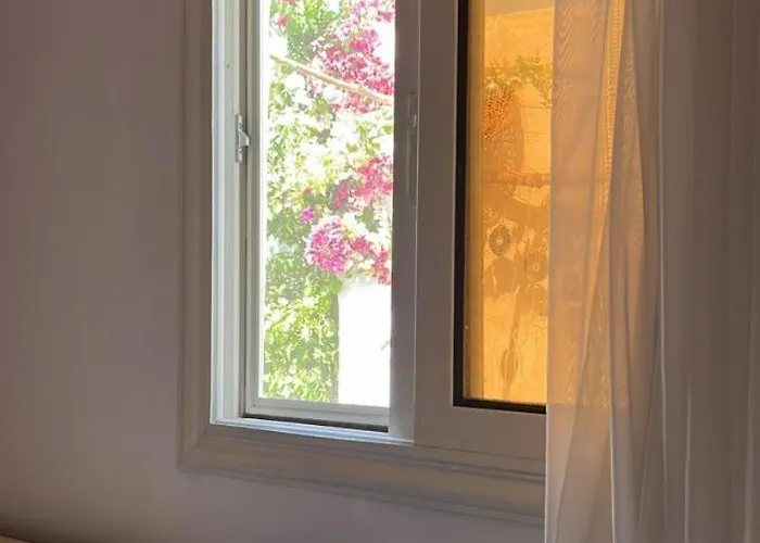 House Garden In Assalah -