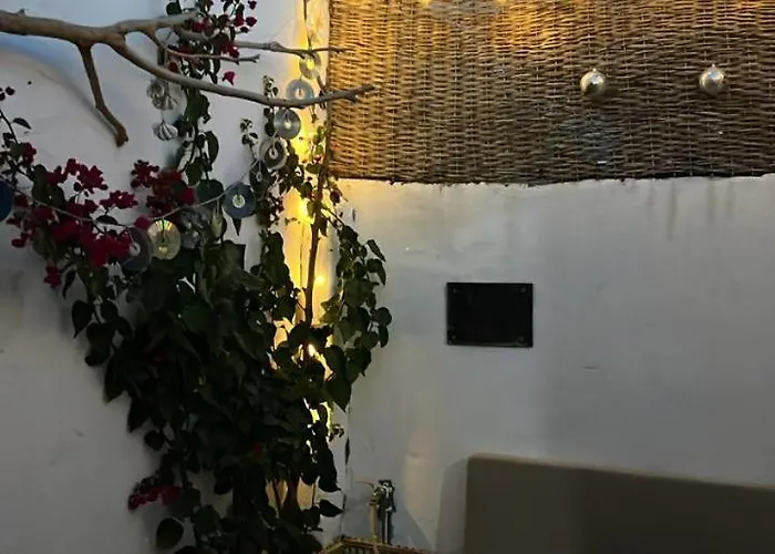 House Garden In Assalah - Vakantiehuis *