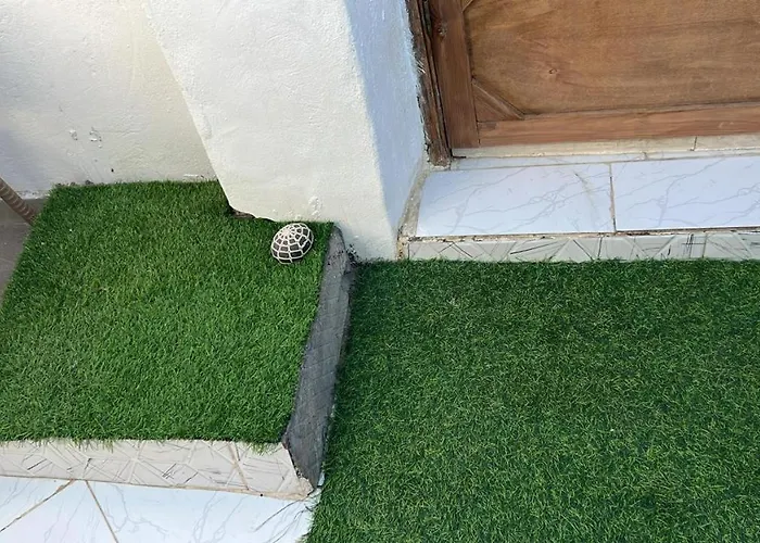 House Garden In Assalah -