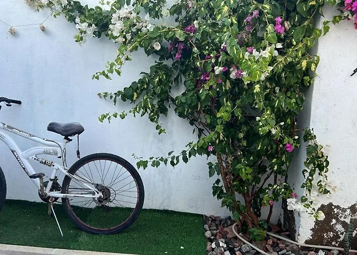 House Garden In Assalah - *