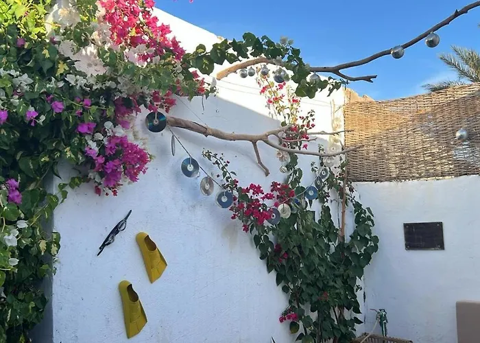 Vakantiehuis House Garden In Assalah - Dahab
