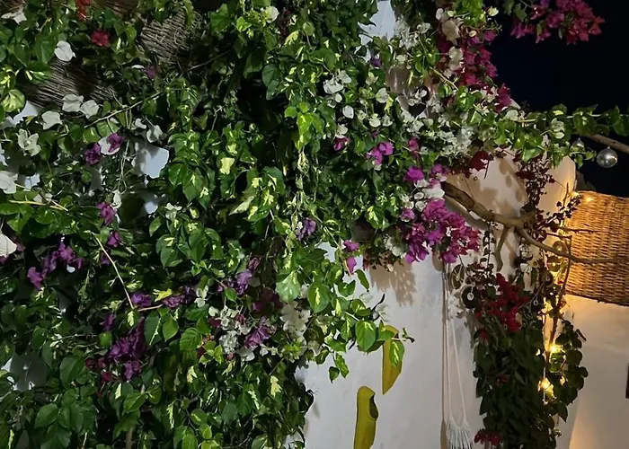 House Garden In Assalah - Vakantiehuis